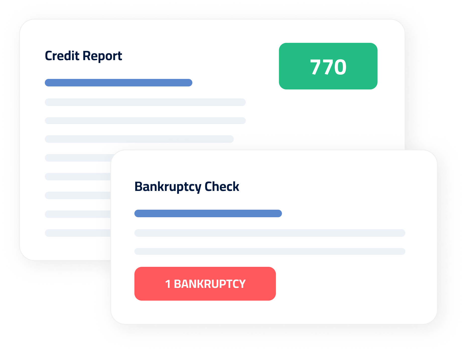 Wireframe showing a credit report and bankruptcy report